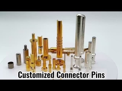 Terminal para automóviles